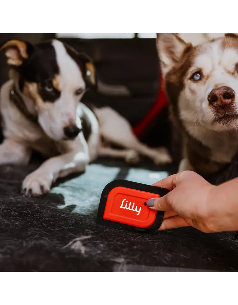 Lilly Brush Lilly Brush Pet Hair Clean-Up Mini Blade