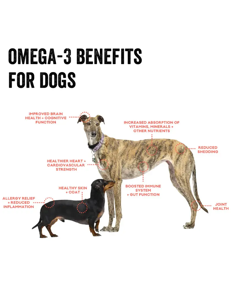 Polka Dog Bakery Polka Dog Cod Skins