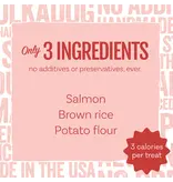 Polka Dog Bakery Polka Dog Treats Salmon Says Bits 7 Oz Pouch