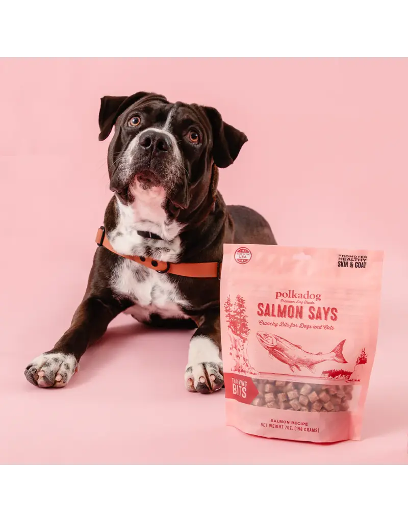 Polka Dog Bakery Polka Dog Treats Salmon Says Bits 7 Oz Pouch