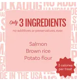 Polka Dog Bakery Polka Dog Treat Salmon Says Bones