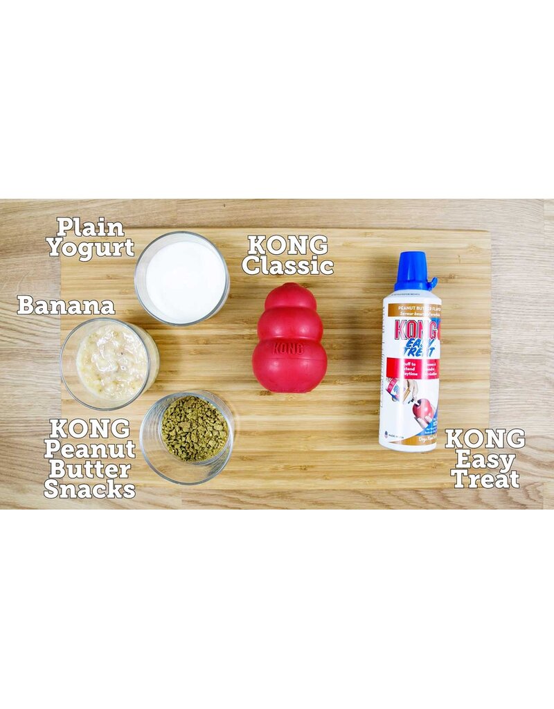 Kong Company Kong Classic Dog Toy