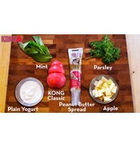 Kong Company Kong Classic Dog Toy