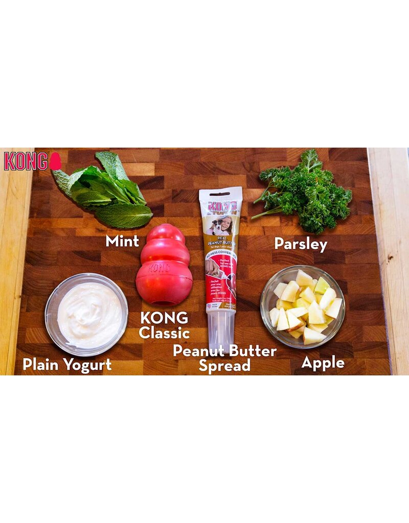 Kong Company Kong Classic Dog Toy