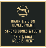 ProPlan Pro Plan Complete Essentials Kitten Chicken & Rice Dry Cat Food 3.5 lb