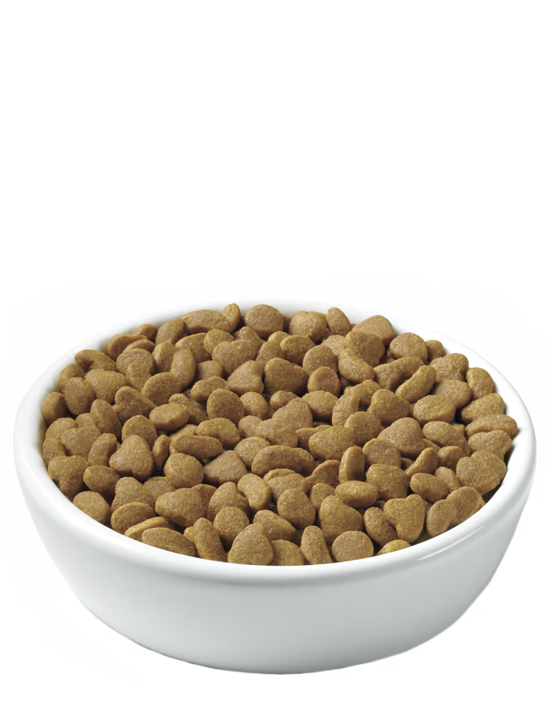 ProPlan Pro Plan Weight Management Chicken & Rice Dry Cat Food 3.5 lb