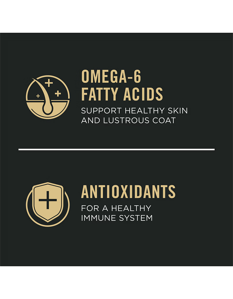 ProPlan Pro Plan Sensitive Skin & Stomach Salmon & Rice Dry Dog Food 4 Lb