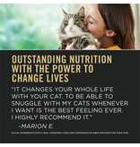 ProPlan Pro Plan Live Clear Sensitive Stomach Salmon & Rice Dry Cat Food 3.5Lb