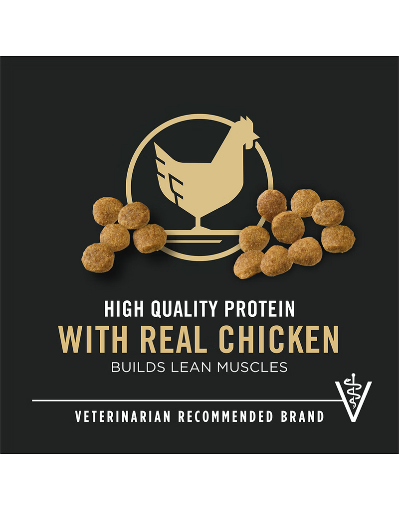 ProPlan Pro Plan Puppy Chicken & Rice Dry Dog Food