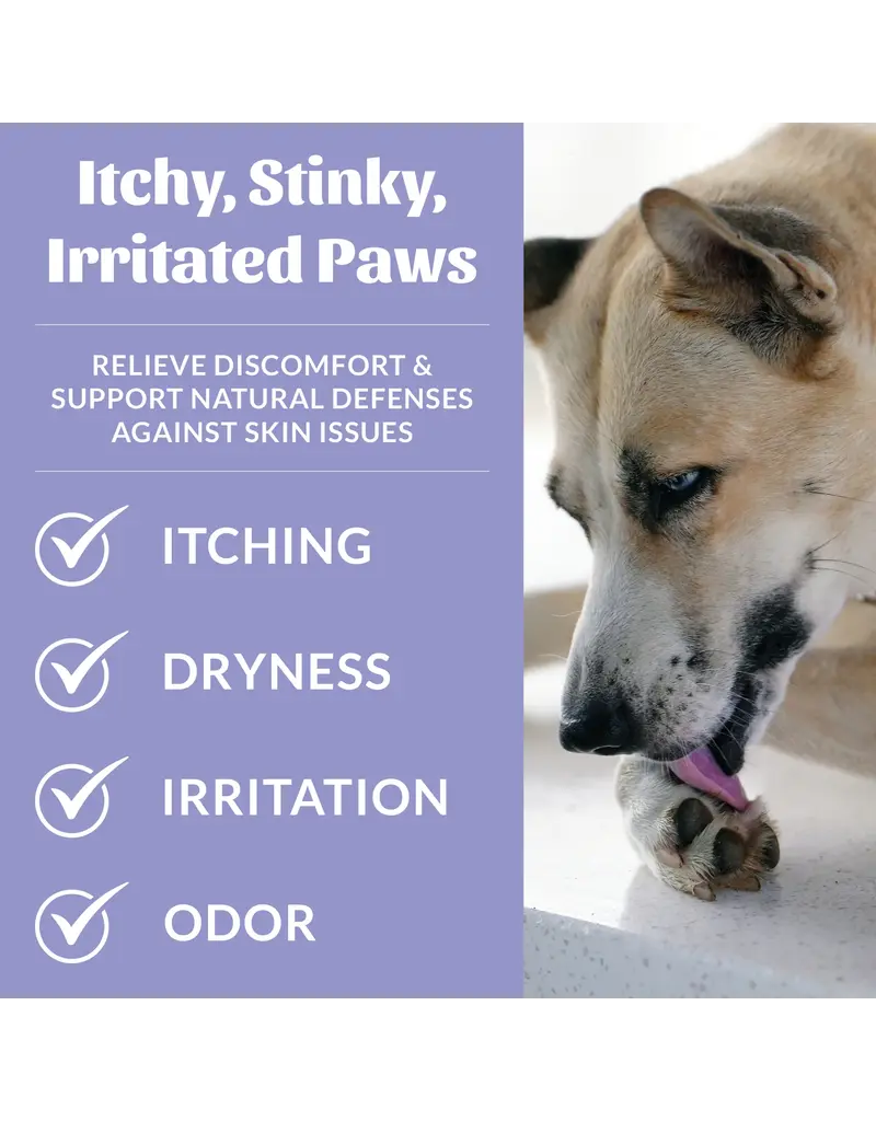 Skouts Honor Skouts Honor Probiotic Paw Spray 8 Oz