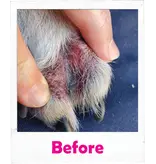 Squishface Squishface Toe Paste For Dogs