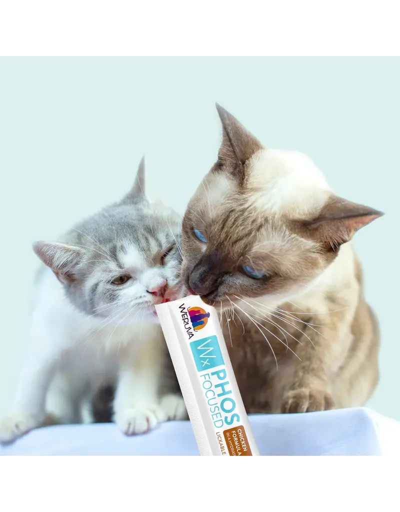 Weruva Weruva Cat WX Lickable Treat Chicken Formula, 5 Pack