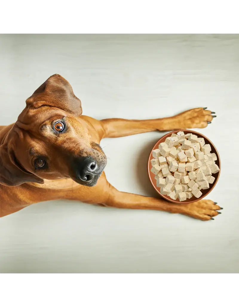 Weruva Weruva Freeze Dried Feeling Farmy Chicken, Egg & Pumpkin Dog Food 5.5 Oz