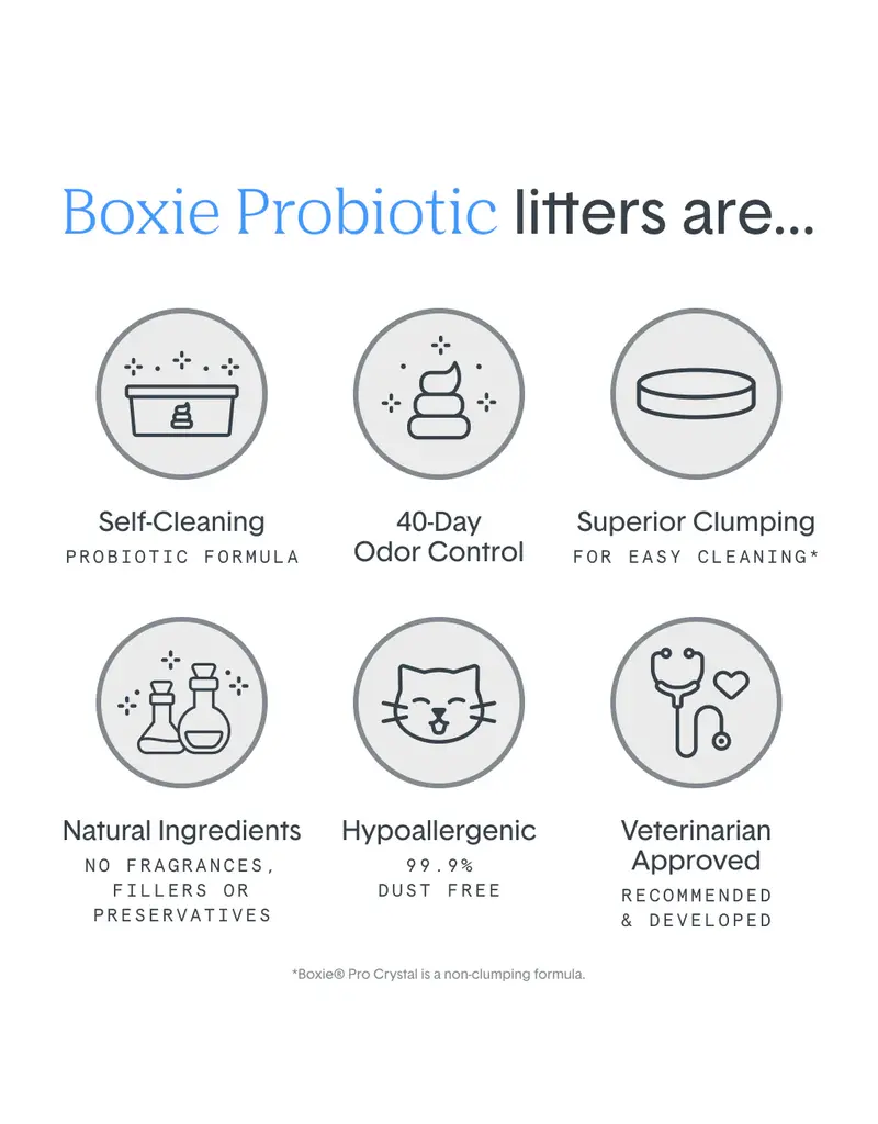 Boxiecat BoxieCat Pro Self-Cleaning Probiotic Crystal Cat Litter 6 Lb