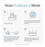 Boxiecat BoxieCat Pro Self-Cleaning Probiotic Crystal Cat Litter 6 Lb