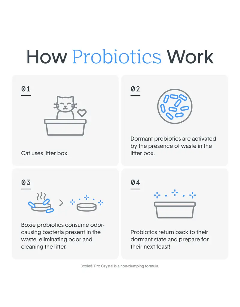 Boxiecat BoxieCat Pro Self-Cleaning Probiotic Crystal Cat Litter 6 Lb