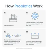 Boxiecat BoxieCat Pro Self-Cleaning Probiotic Clumping Clay Litter