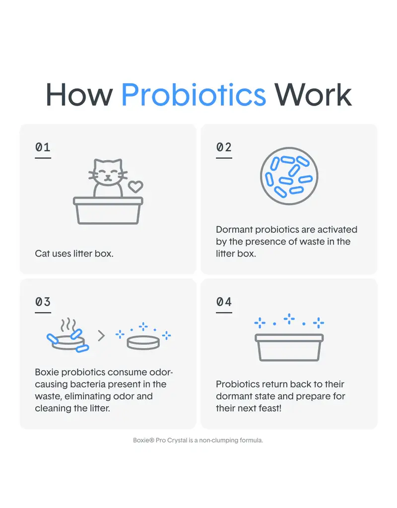 Boxiecat BoxieCat Pro Self-Cleaning Probiotic Clumping Clay Litter