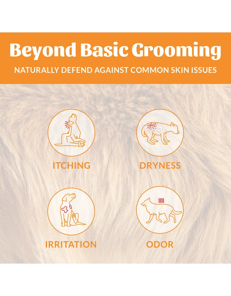 Skouts Honor Skouts Honor Probiotic Deodorizer Spray 8 Oz