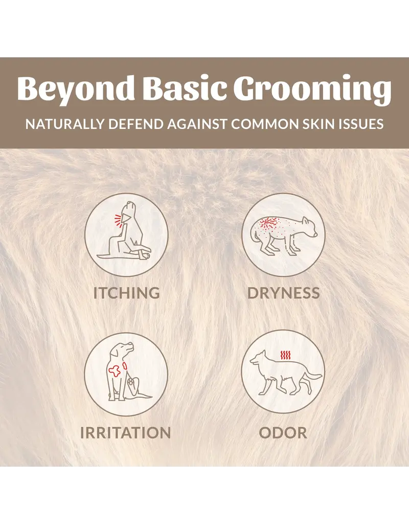 Skout's Honor Skouts Honor Shampoo & Conditioner Dog of the Woods 16 Oz