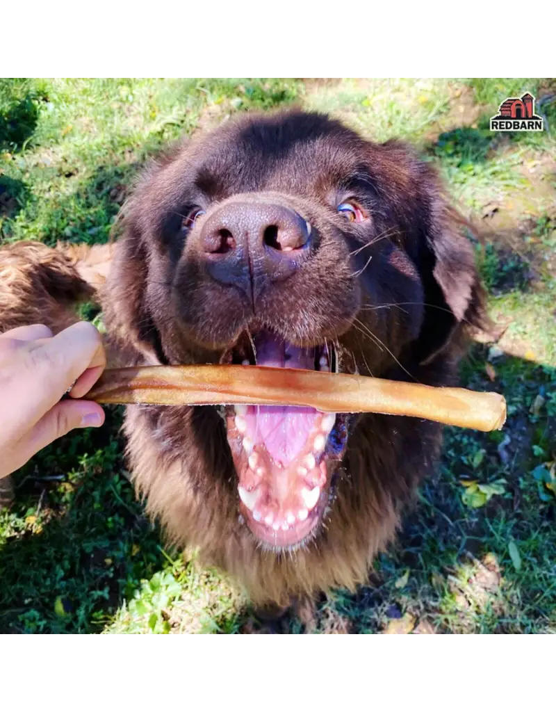 Redbarn Redbarn Collagen Stick