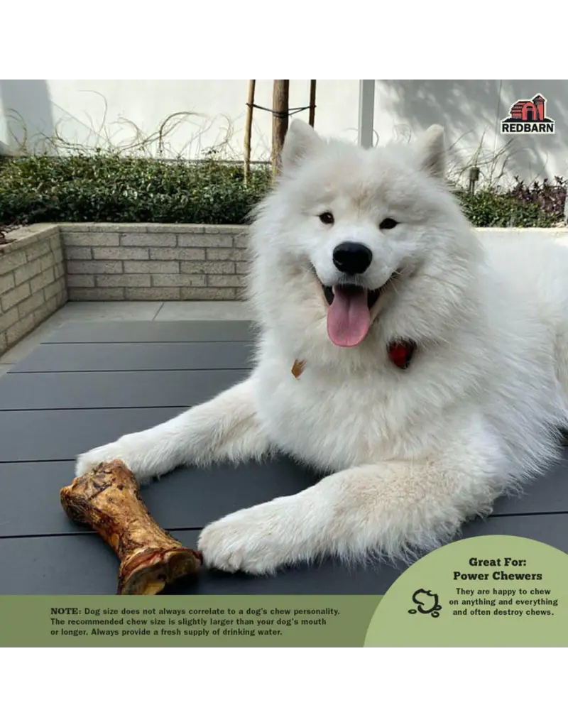 Redbarn Redbarn Meaty Bone XL