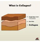 Redbarn Redbarn Collagen Braid