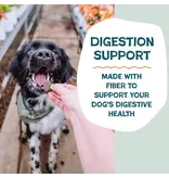 Shameless Pet Shameless Pet Soft Baked Pumpkin Nut Dog Biscuit 6 Oz