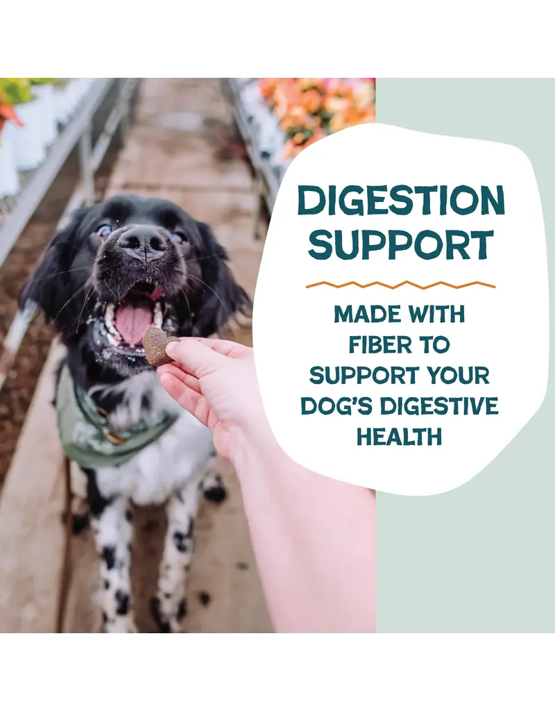 Shameless Pet Shameless Pet Soft Baked Pumpkin Nut Dog Biscuit 6 Oz