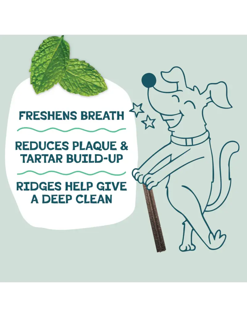 Shameless Pet Shameless Pet Dog Dental Sticks Blueberry/Mint 7.2 Oz