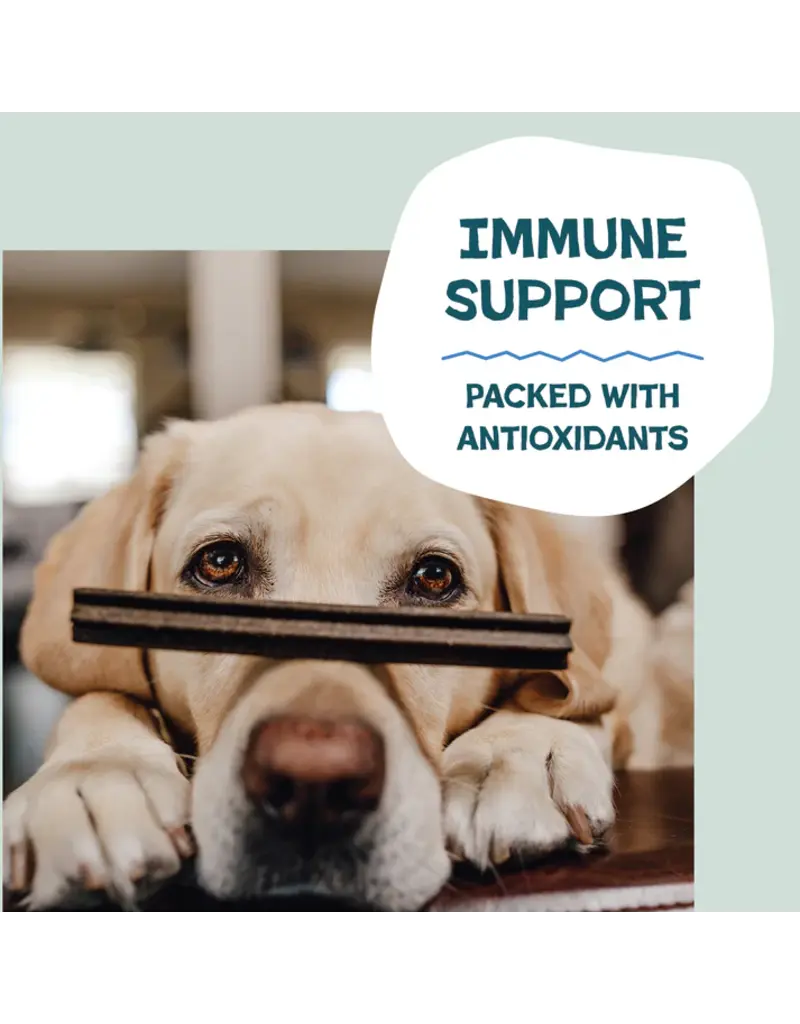 Shameless Pet Shameless Pet Dog Dental Sticks Blueberry/Mint 7.2 Oz