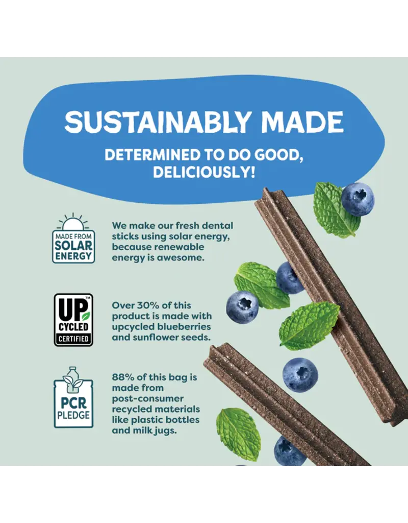 Shameless Pet Shameless Pet Dog Dental Sticks Blueberry/Mint 7.2 Oz