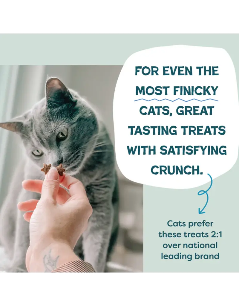 Shameless Pet Shameless Pet Catnip N Chill Tuna & Catnip Crunchy Cat Treats 2.5 Oz