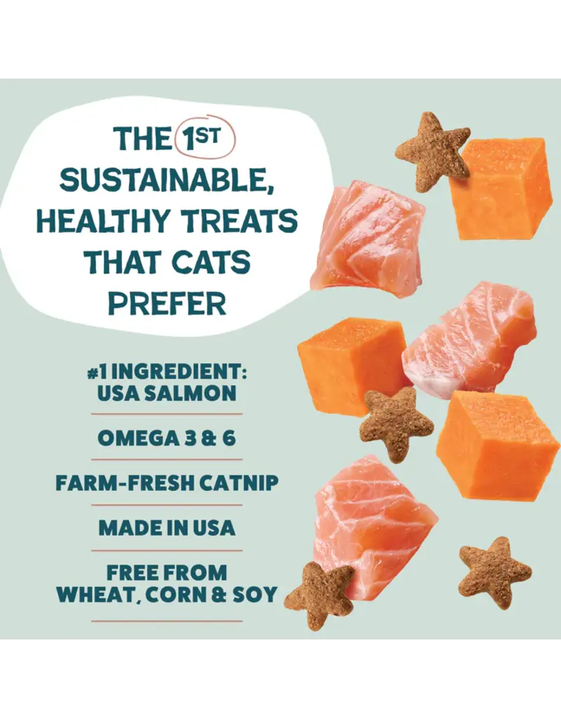 Shameless Pet Shameless Pet Catnip N Chill Yam Good Salmon Crunchy Cat Treats 2.5 Oz