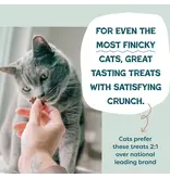 Shameless Pet Shameless Pet Catnip N Chill Yam Good Salmon Crunchy Cat Treats 2.5 Oz
