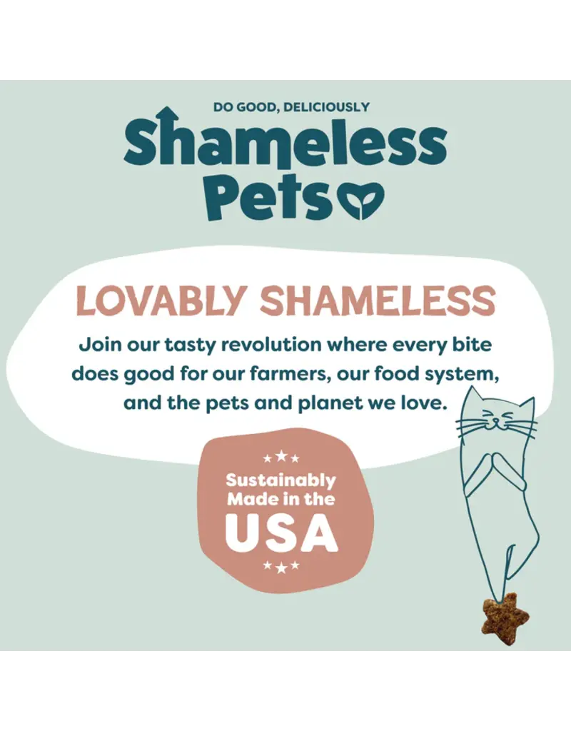 Shameless Pet Shameless Pet Catnip N Chill Yam Good Salmon Crunchy Cat Treats 2.5 Oz