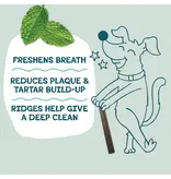 Shameless Pet Shameless Pet Dog Dental Sticks Chicken/Parsley 7.2 Oz