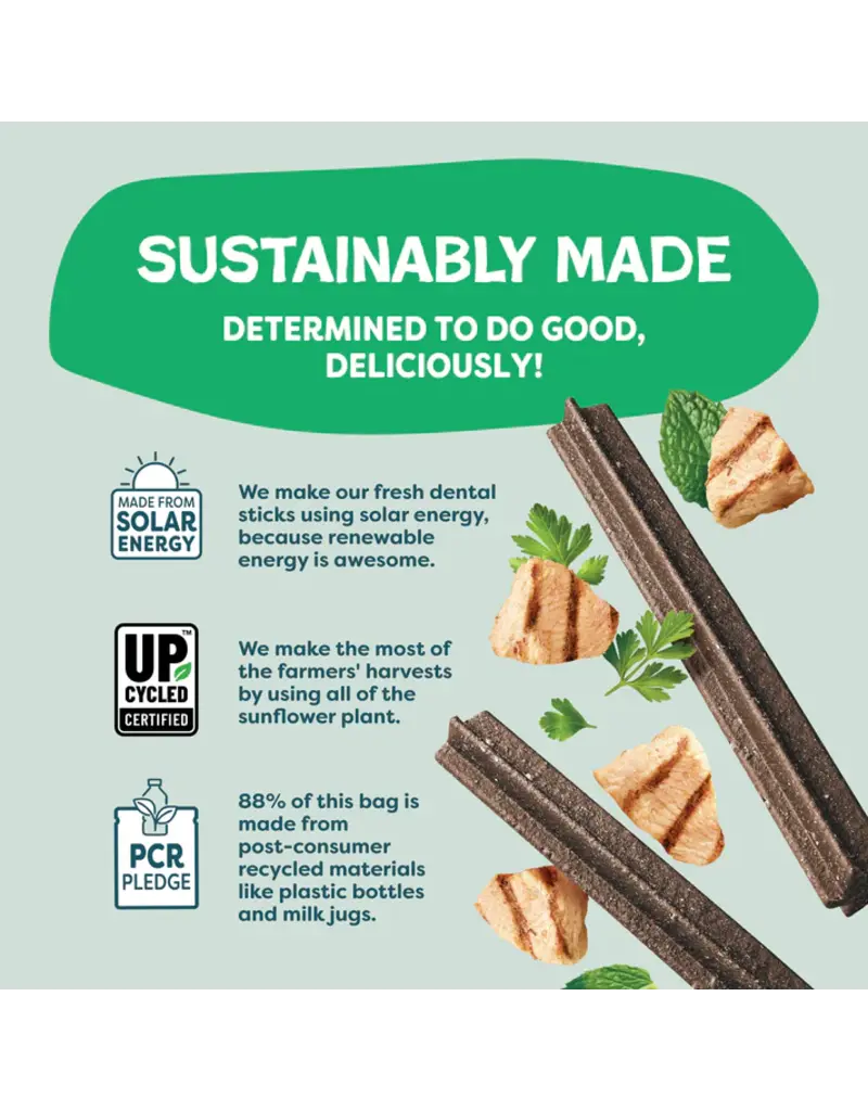 Shameless Pet Shameless Pet Dog Dental Sticks Chicken/Parsley 7.2 Oz