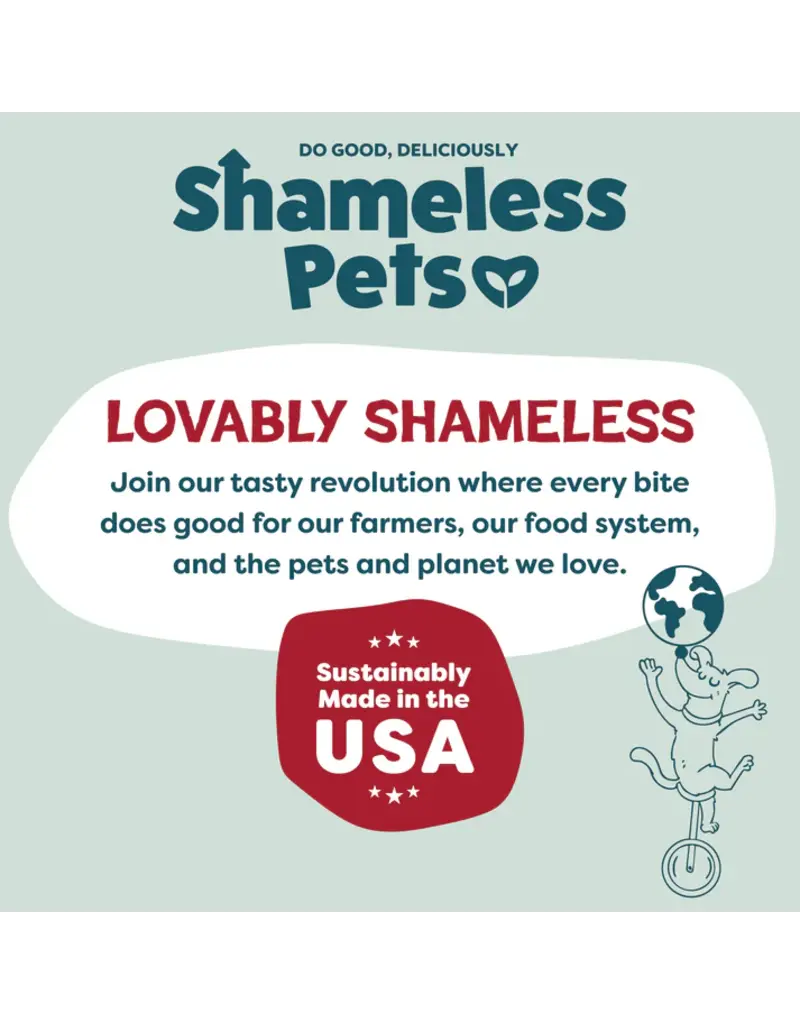 Shameless Pet Shameless Pet Bacon & Bone Broth Dog Training Treats 8 Oz