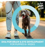 Dogswell Dogswell Puppy Mini Soft Strips Lamb Dog Treat