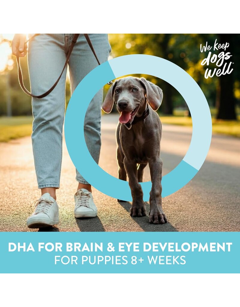 Dogswell Dogswell Puppy Mini Soft Strips Lamb Dog Treat