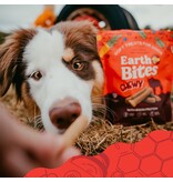 Earthborn Holistic Earthborn Earthbites Soft & Chewy Dog Treats Bison 7 Oz