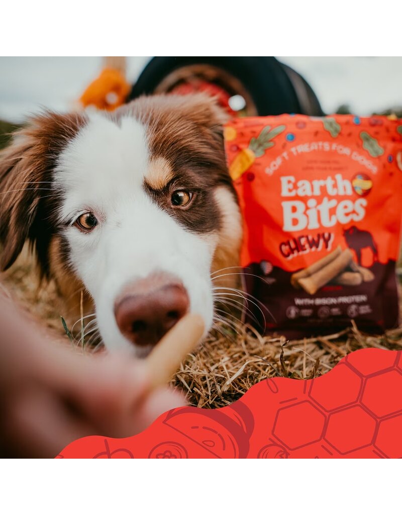 Earthborn Holistic Earthborn Earthbites Soft & Chewy Dog Treats Bison 7 Oz