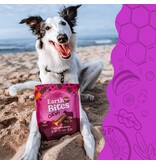 Earthborn Holistic Earthborn Earthbites Soft & Chewy Dog Treats Lamb 7 Oz