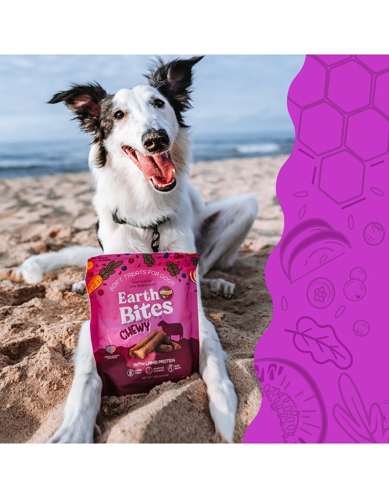 Earthborn Holistic Earthborn Earthbites Soft & Chewy Dog Treats Lamb 7 Oz