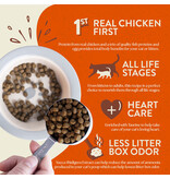 Earthborn Holistic Earthborn Holistic Primitive Feline Dry Cat Food 4LB