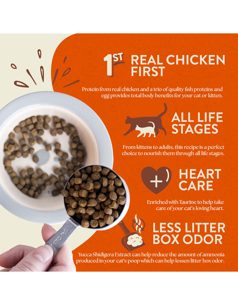 Earthborn Holistic Earthborn Holistic Primitive Feline Dry Cat Food 4LB