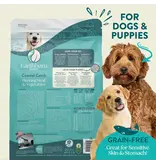 Earthborn Holistic Earthborn Coastal Catch Grain Free