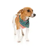 Fuzzyard Fuzzyard Holiday Dog Bandana
