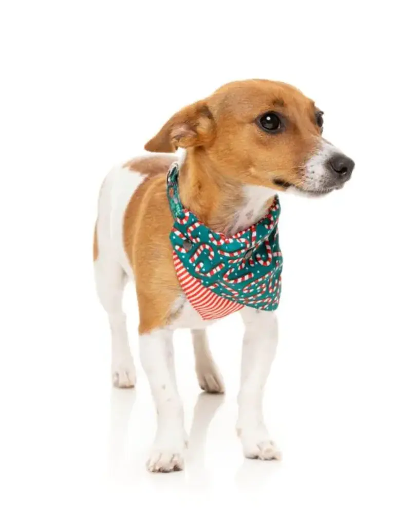 Fuzzyard Fuzzyard Holiday Dog Bandana